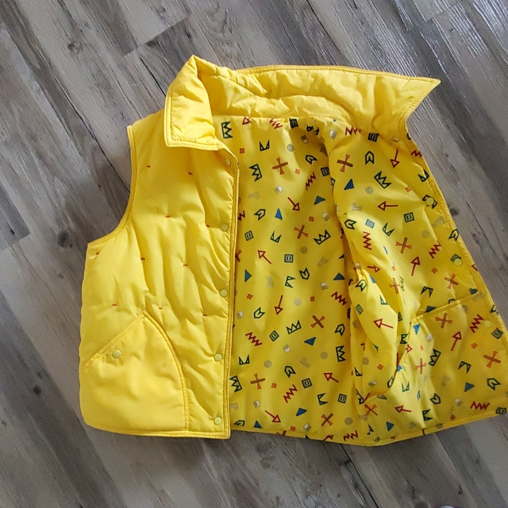 Ski vest